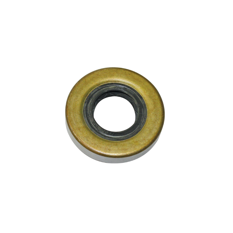 Oil Seal - Briggs & Stratton 393812