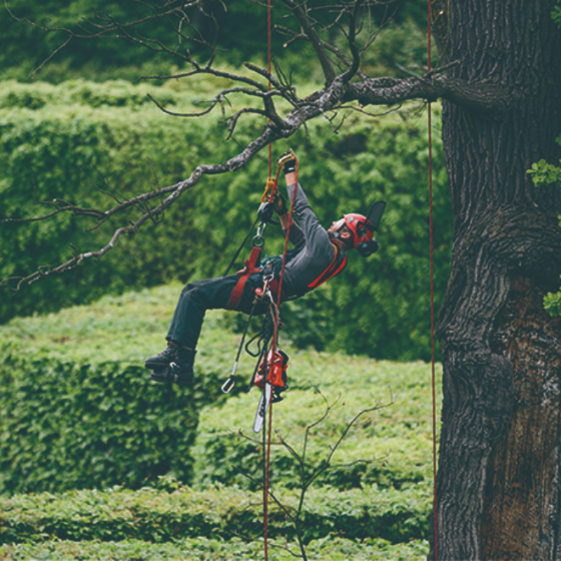 ECHO 35.8cc Lightweight Top Handle Chainsaw CS-362TES