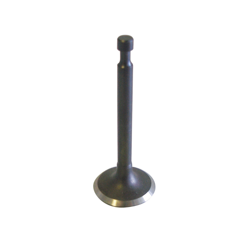 Exhaust Valve - 14721-ZF1-000