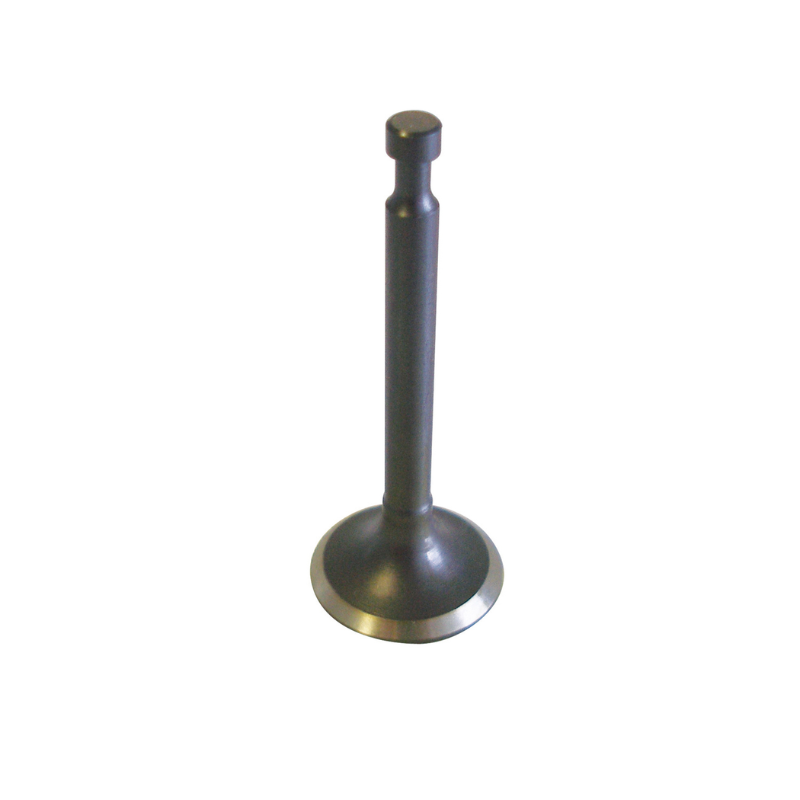 Inlet Valve - 14711-ZF1-000