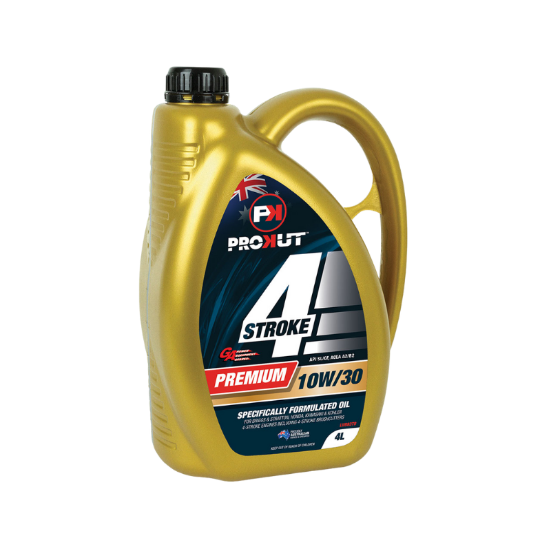 4-Stroke Engine Oil 10W 30 4 L LUB8379