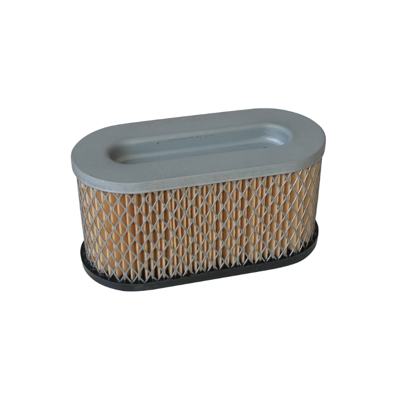 Air Filter - suits Briggs & Stratton