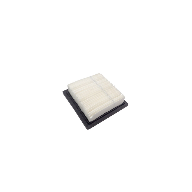 Air Filter - suits Tecumseh