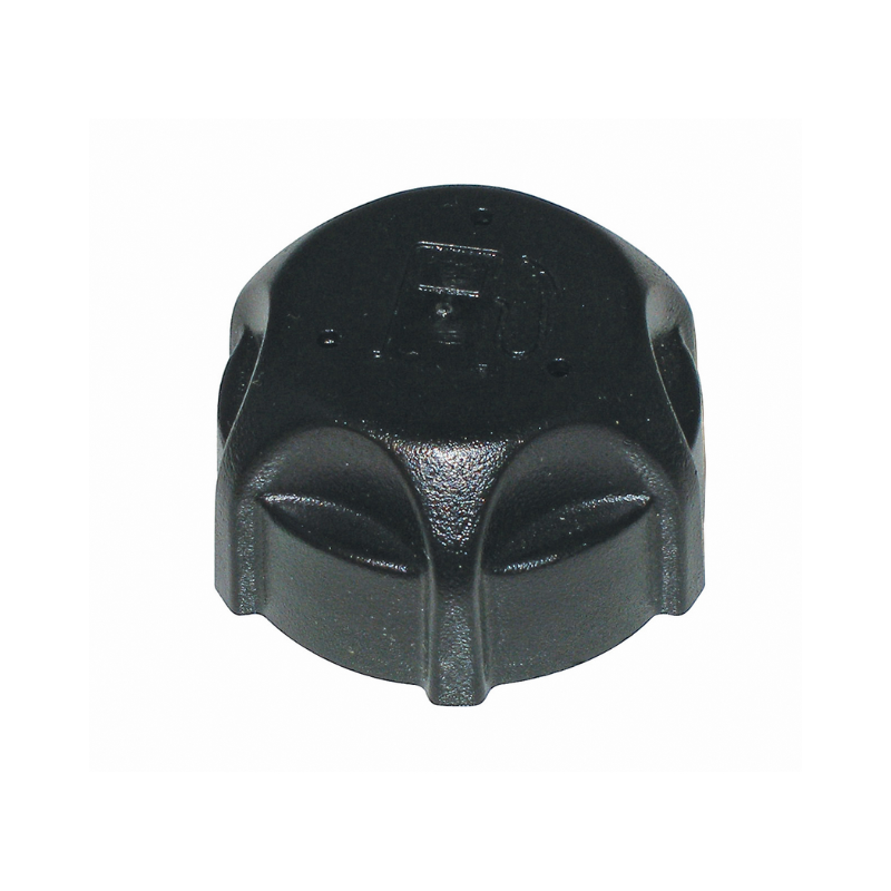Fuel Cap (497929S X 5)