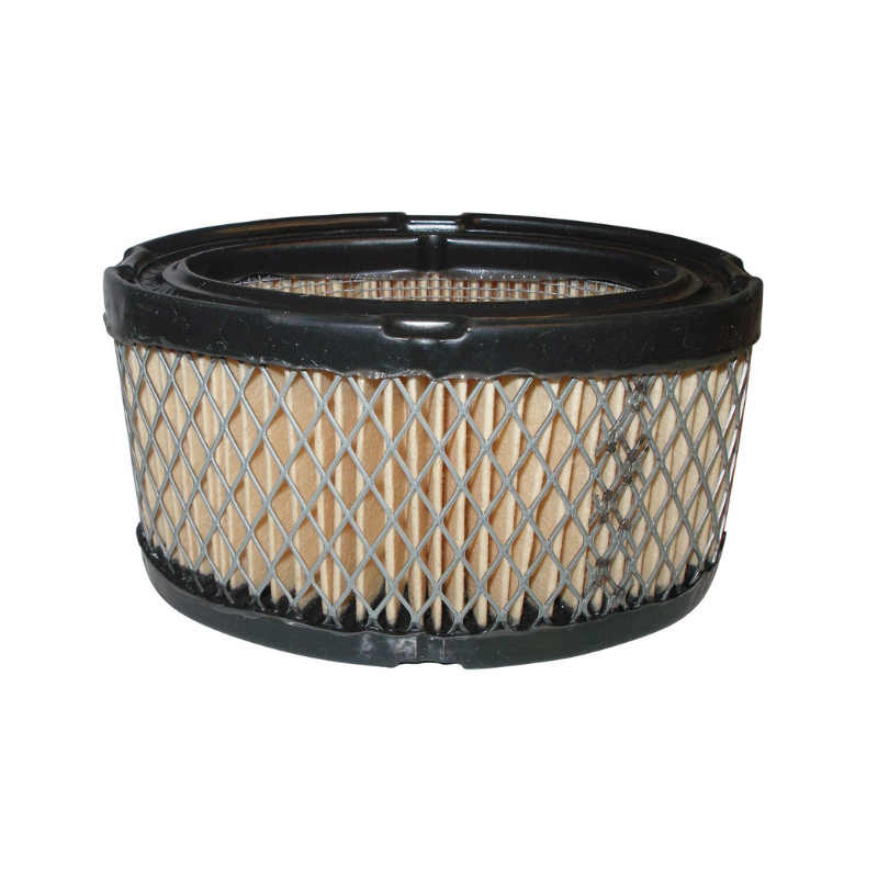 Air Filter JM663 - suits Tecumseh
