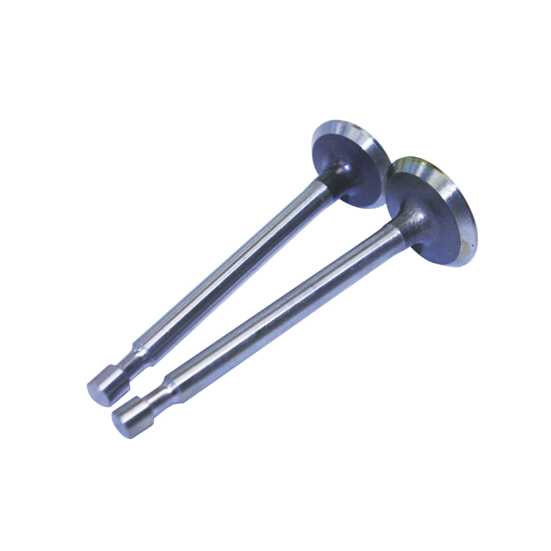 Intake/Exhaust Valve