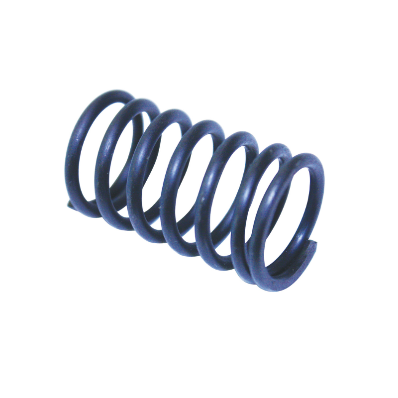 Valve Spring