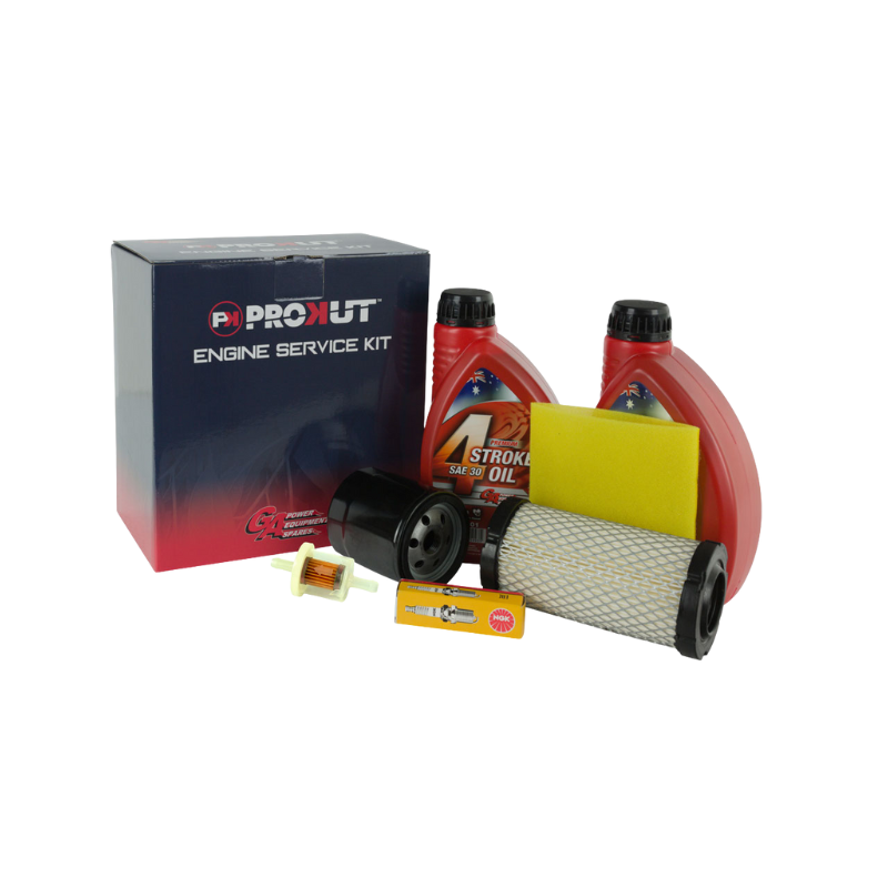 Briggs & Stratton Professional Series Engine Service Kit ESK8253