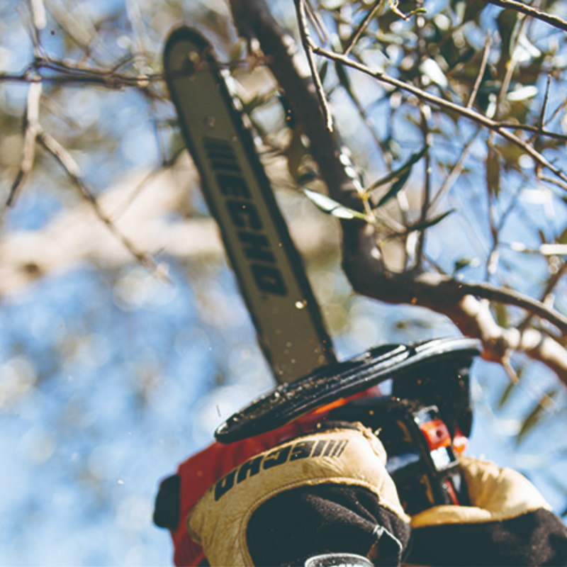 ECHO 10 Inch Top Handle Chainsaw 2-Stroke ES-Start CS-280TES