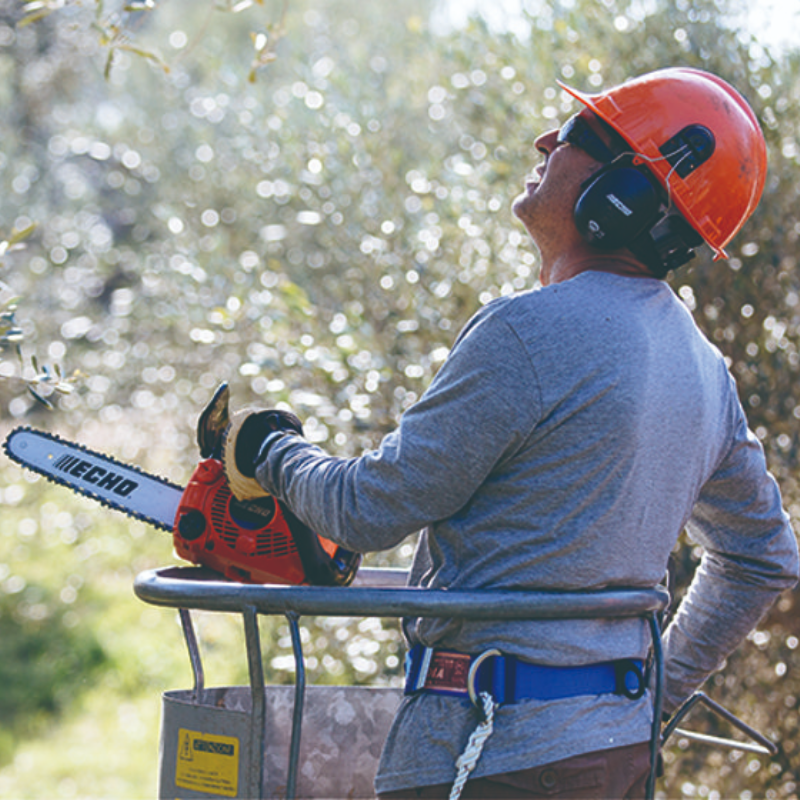 ECHO 10 Inch Top Handle Chainsaw 2-Stroke ES-Start CS-280TES