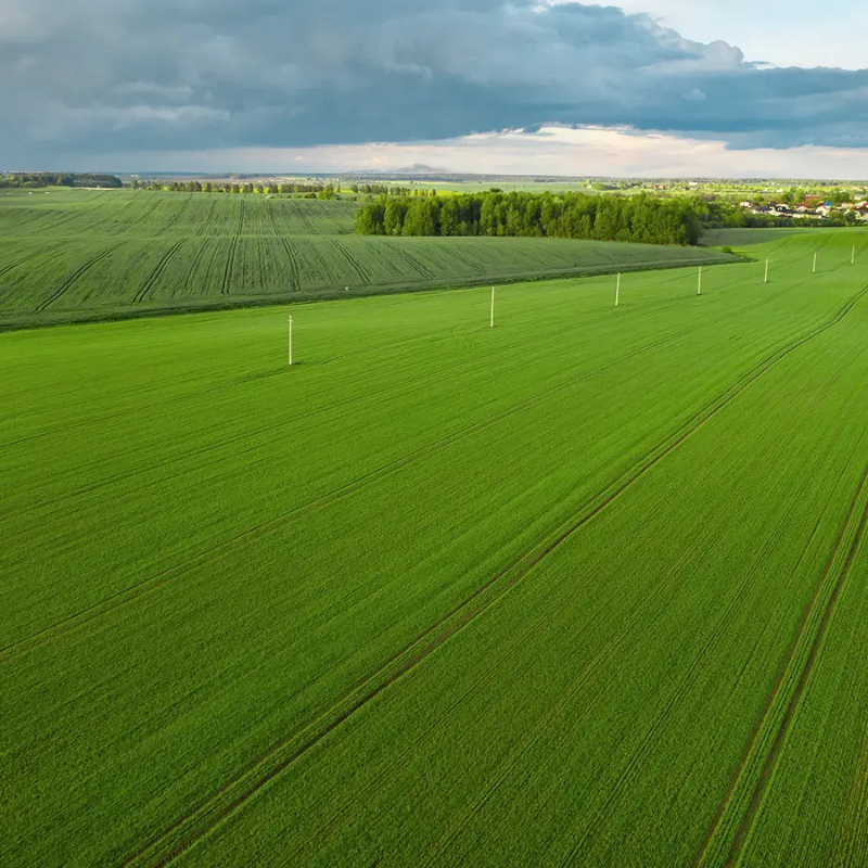 FJDynamics Robotic Mower FJDRM21