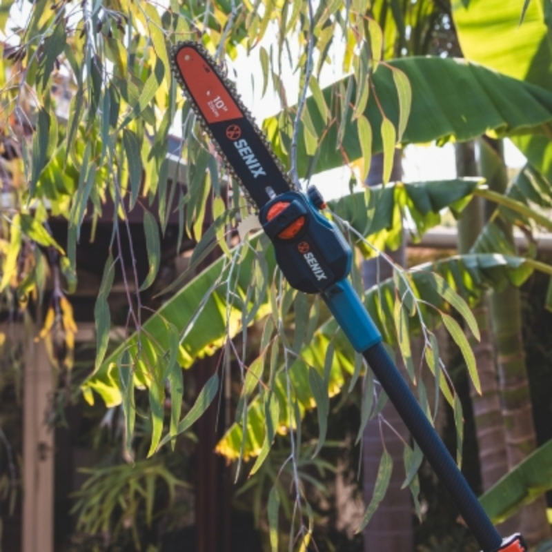 SENIX X2 18V 25cm (10 Inch) Pole Saw Kit CSPX2-M-EU