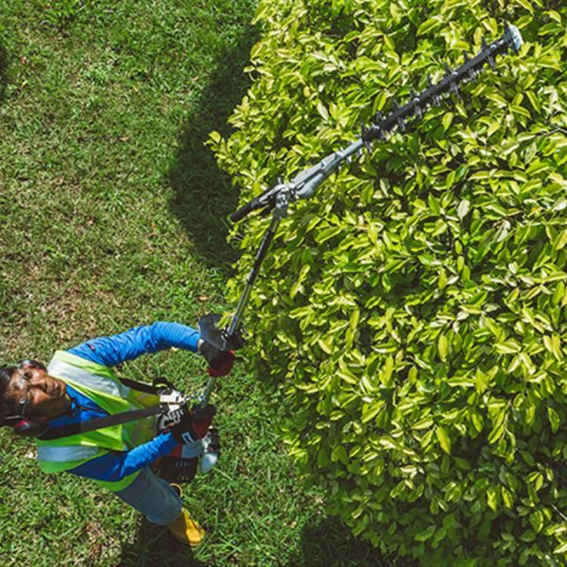 Shindaiwa Long Reach Pole Hedge Trimmer AH236S-LW