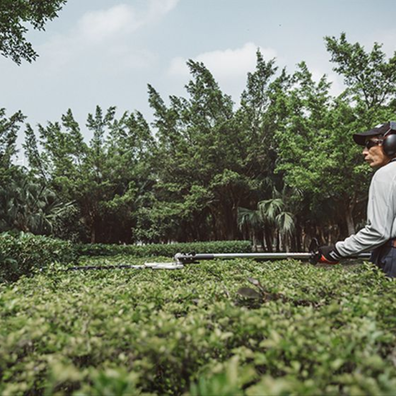 Shindaiwa Long Reach Pole Hedge Trimmer AH236S-LW