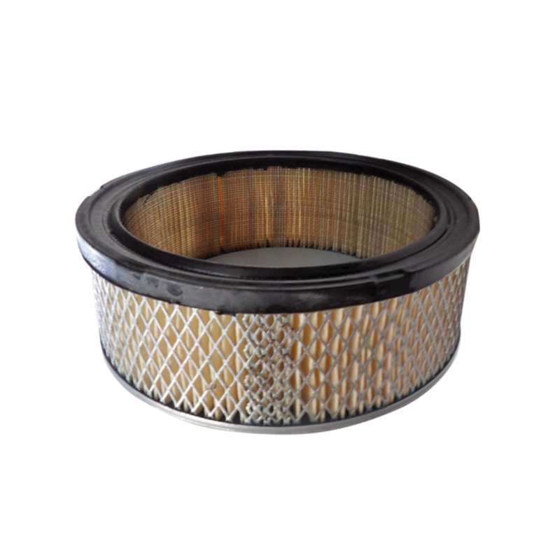 Air Filter B1AF323 - suits Robin