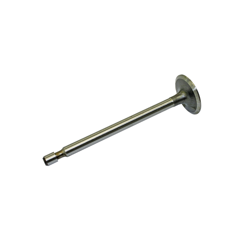 Inlet Valve - Briggs & Stratton 690429