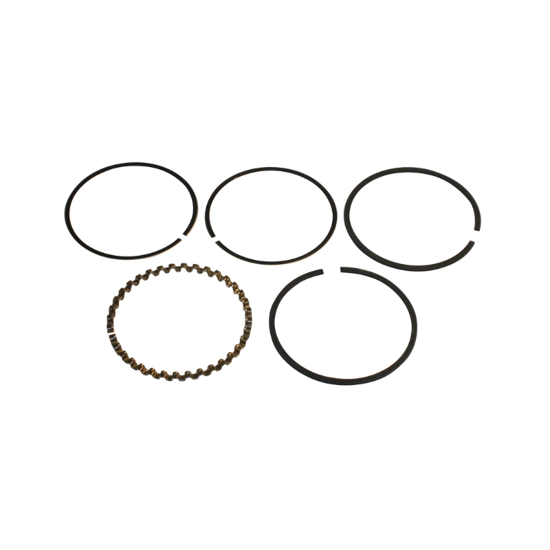 Ring Set - Briggs & Stratton 493261