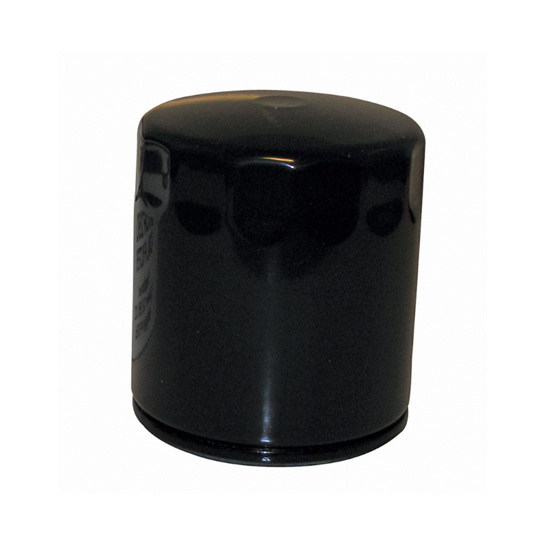 Oil Filter (Long) - Briggs & Stratton 491056