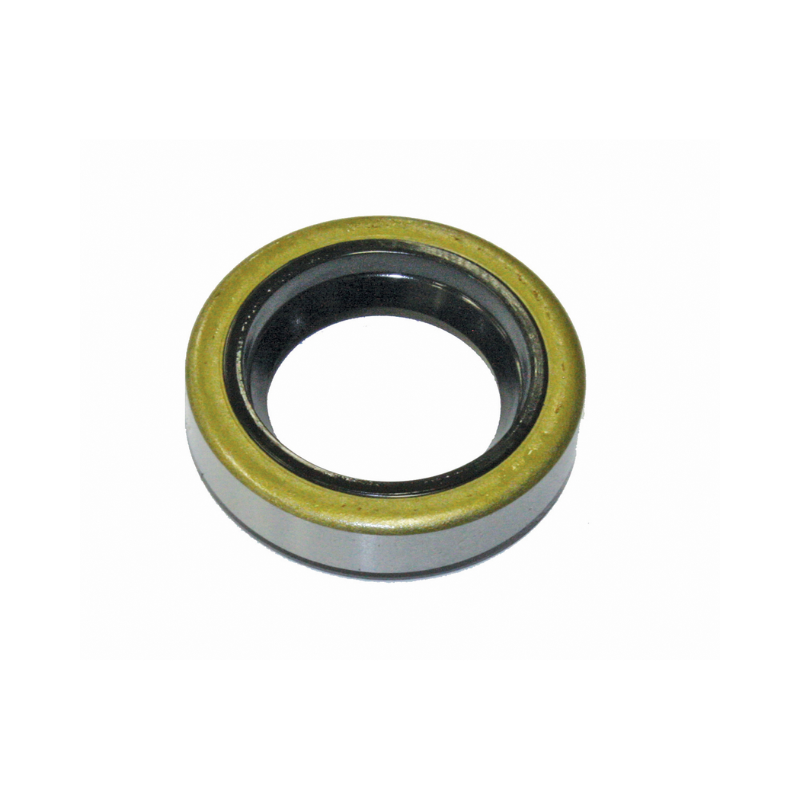 Oil Seal - Briggs & Stratton 391483