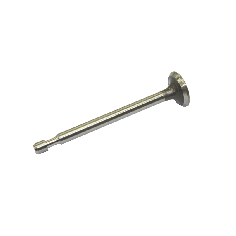 Exhaust Valve - Briggs & Stratton 296676