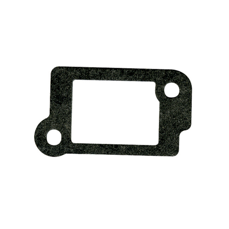 Genuine Intake Gasket – Briggs & Stratton