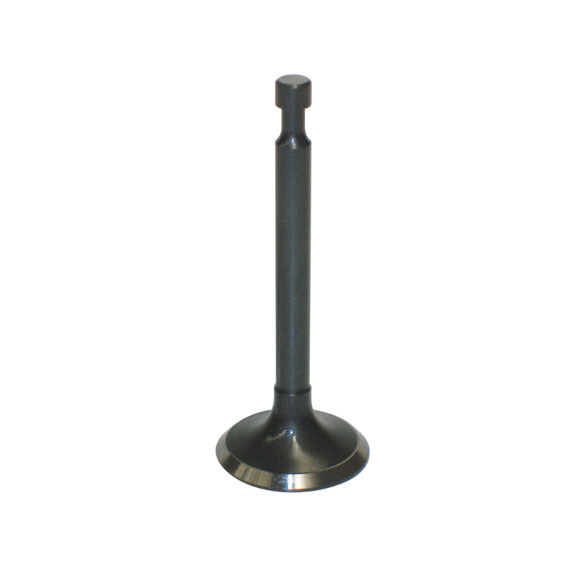 Exhaust Valve - 14721-ZE7-000
