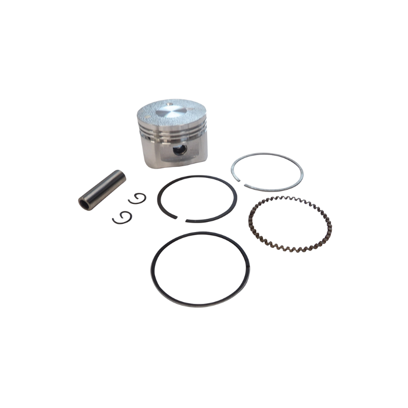 Piston Assembly