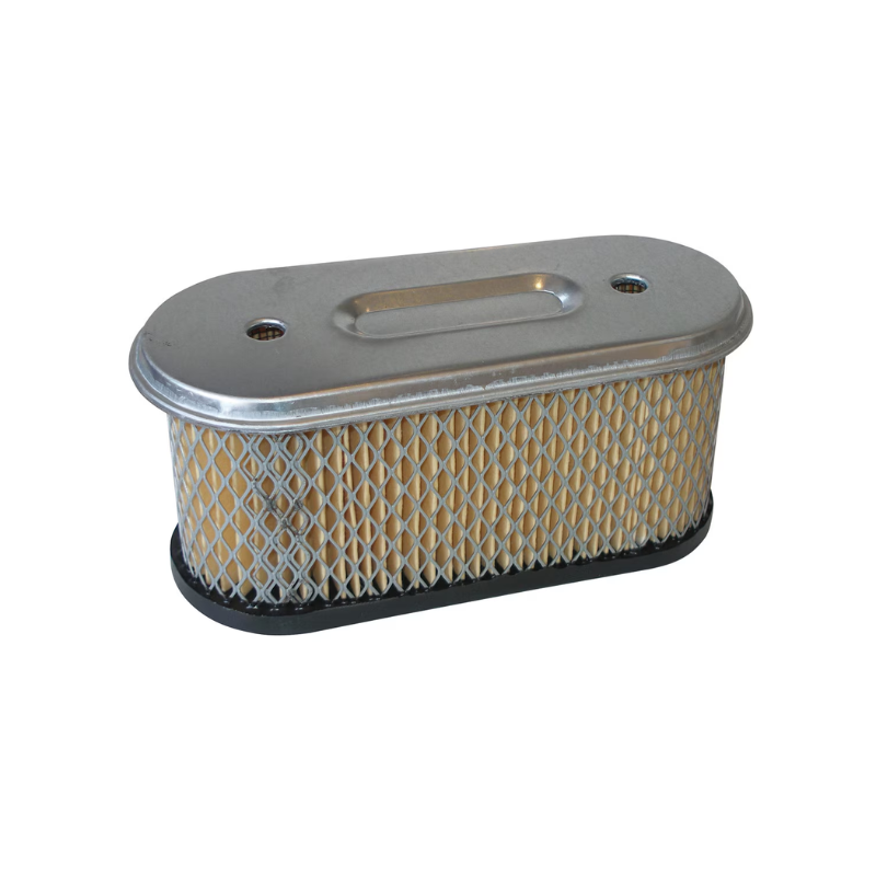 Air Filter - suits Briggs & Stratton