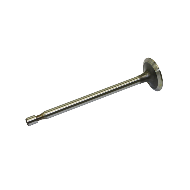 Inlet Valve