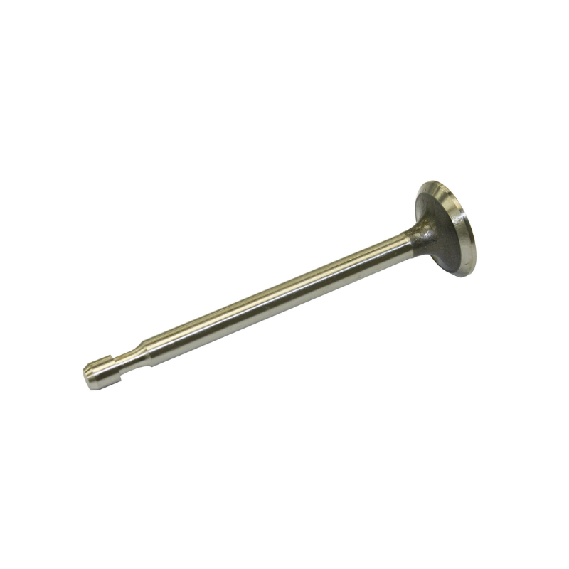 Exhaust Valve