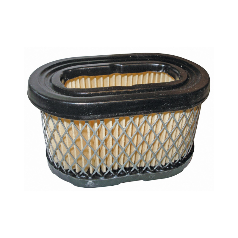 Air Filter - suits Briggs & Stratton