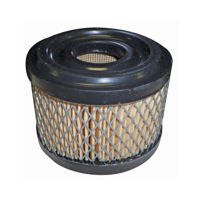 Air Filter - suits Briggs & Stratton