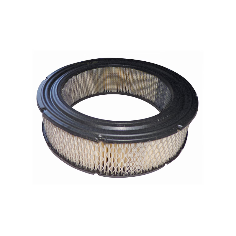 Air Filter - suits Briggs & Stratton