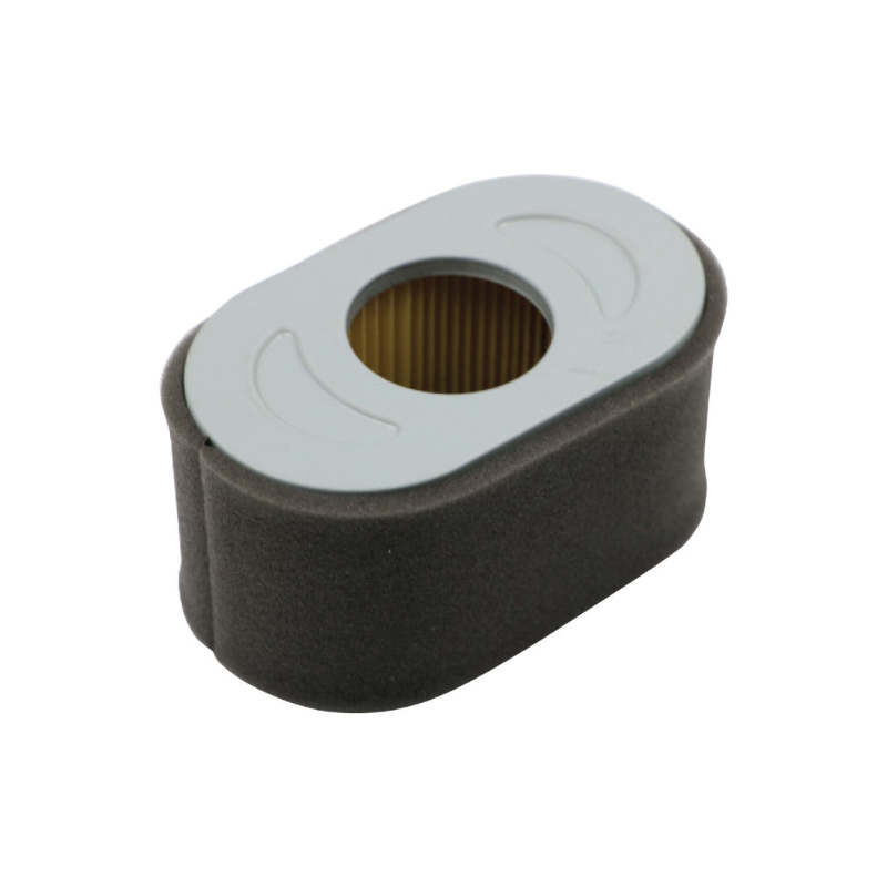 Air Filter - Briggs & Stratton 797033