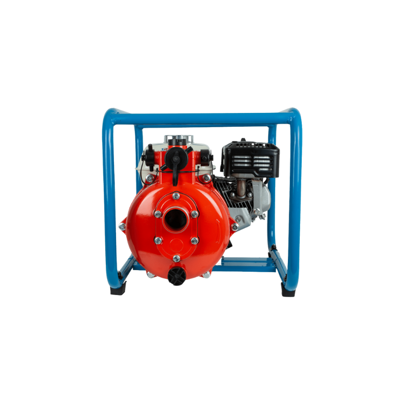 Bushranger  2" Fire Fighter Pump (Twin) BRUFFT201