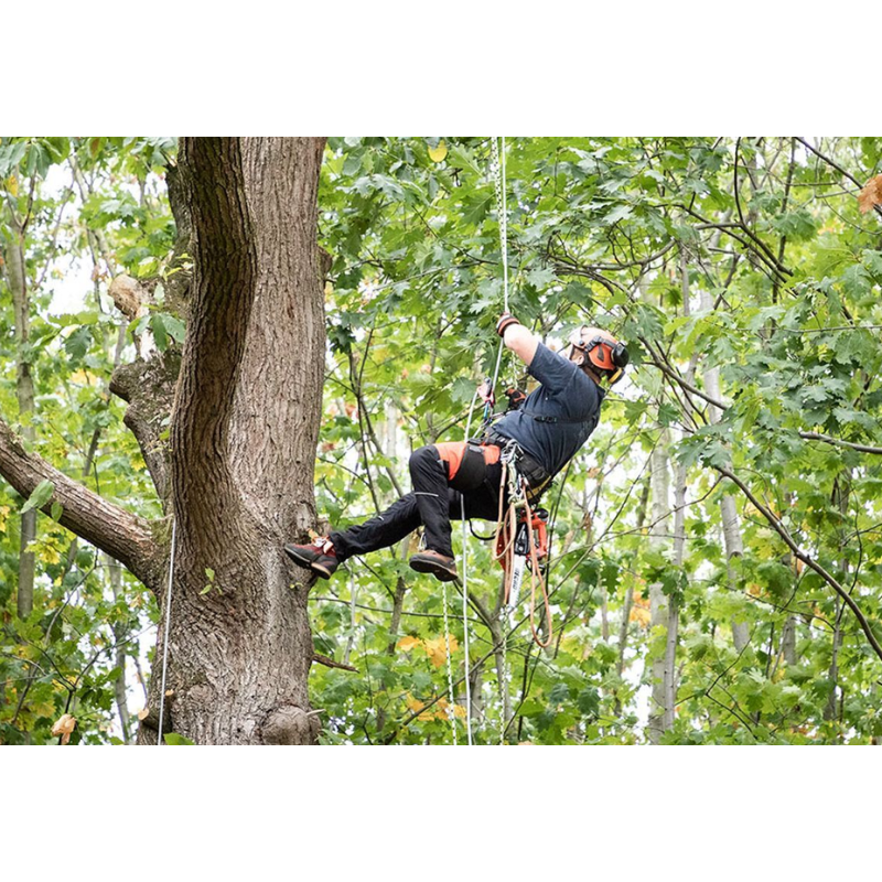 ECHO Battery Powered Top Handle Chainsaw DCS-2500T
