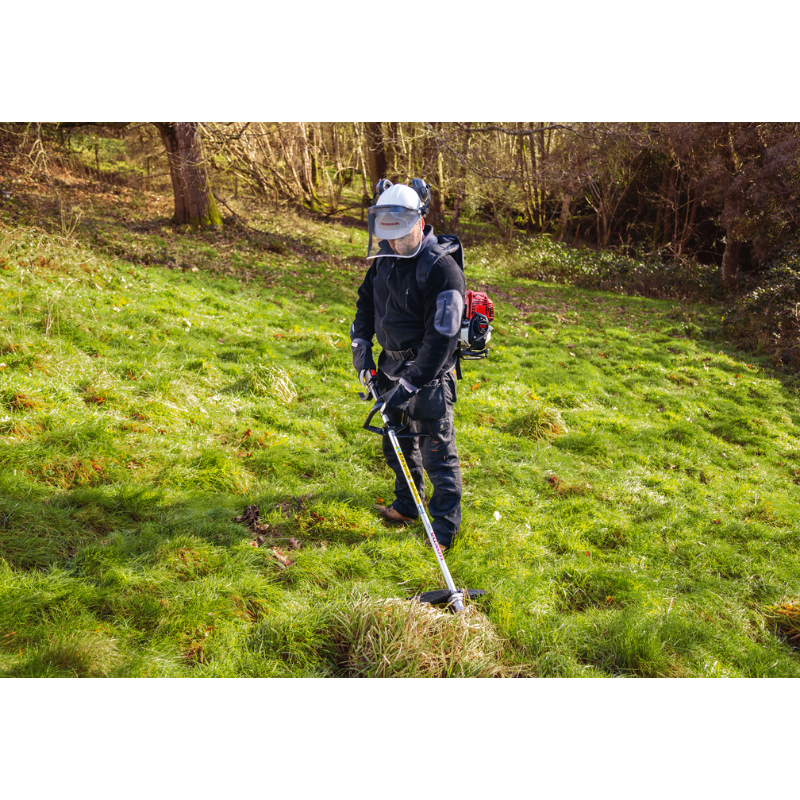 Honda Backpack Brushcutter UMR450T