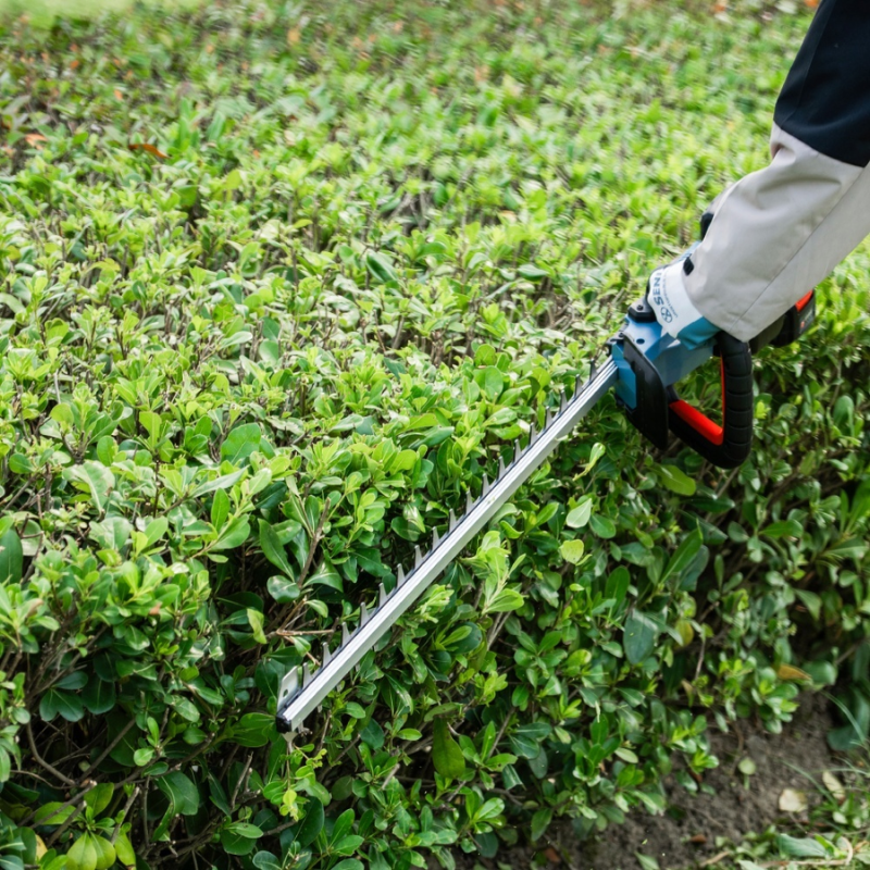 SENIX 2X2 36V Brushless 610mm Hedge Trimmer Skin HTX2-M3-EU-0