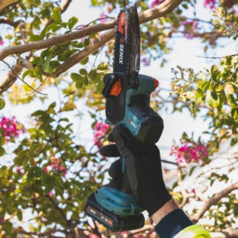 SENIX X2 18V 12cm (5 Inch) Pruning Saw Kit CSX2-M5-EU