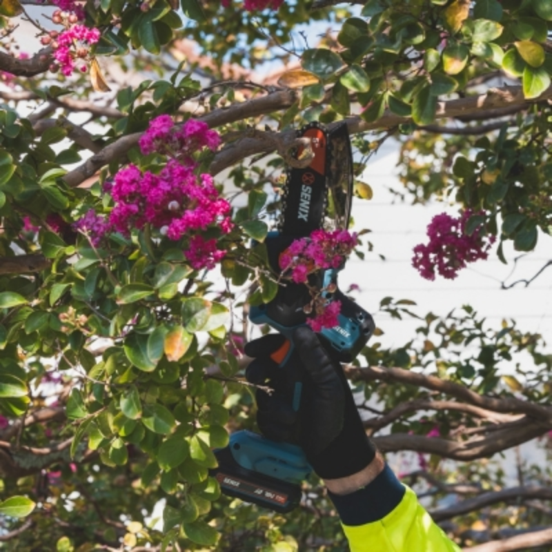 SENIX X2 18V 12cm (5 Inch) Pruning Saw Skin CSX2-M5-EU-0