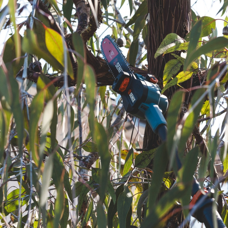 SENIX X2 18V 25cm (10 Inch) Pole Saw Kit CSPX2-M-EU