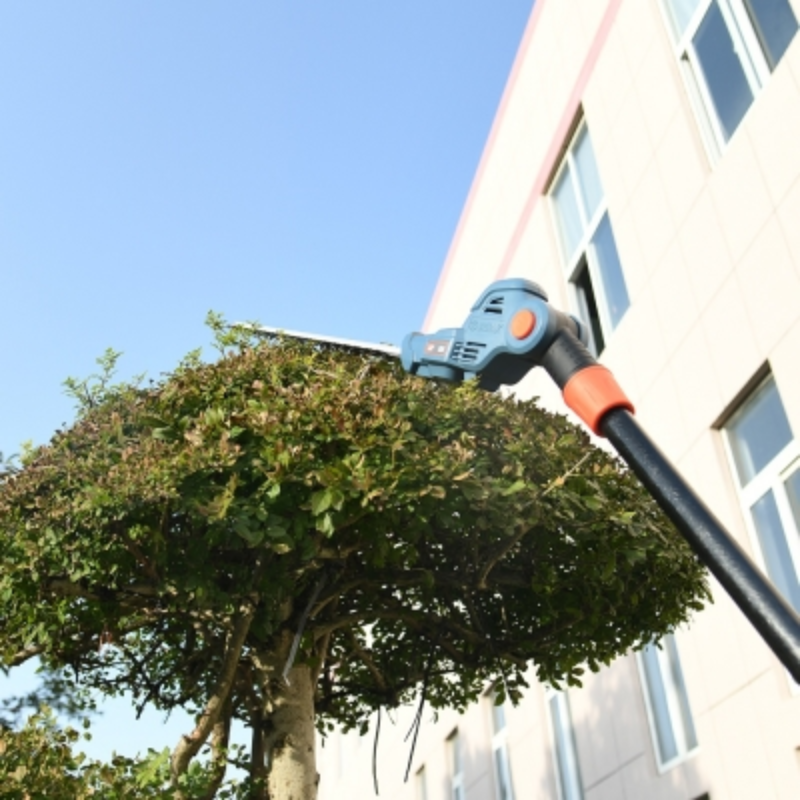 SENIX X2 18V 45cm (18") Pole Hedge Trimmer Kit HTPX2-M-EU