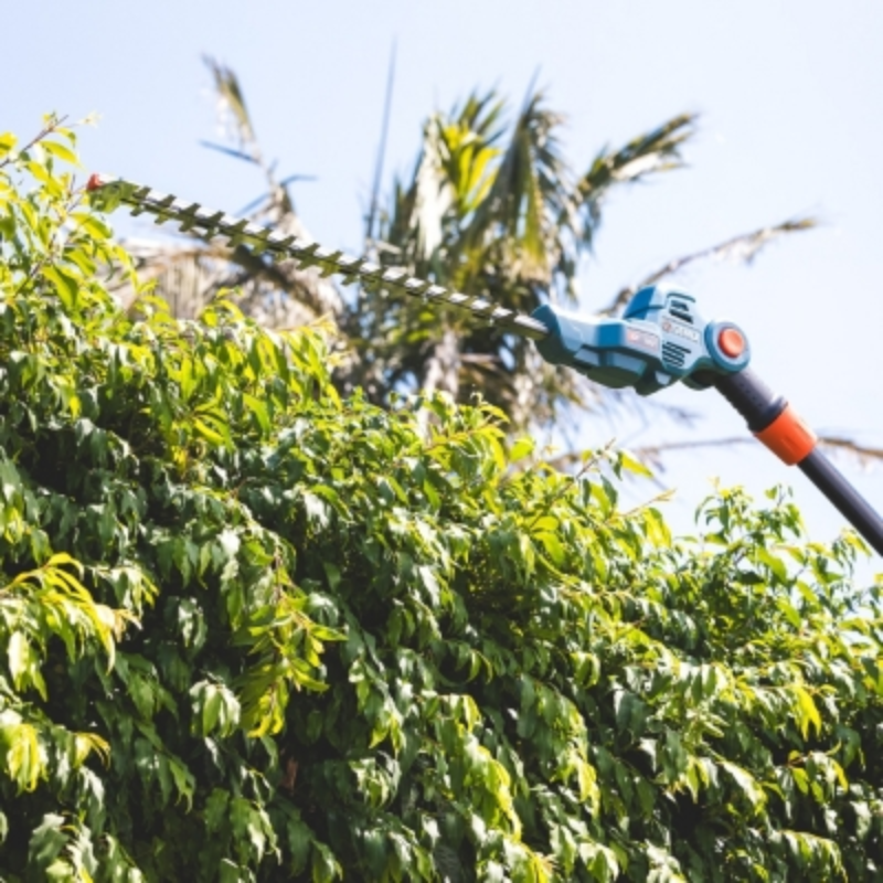 SENIX X2 18V 45cm (18") Pole Hedge Trimmer Kit HTPX2-M-EU