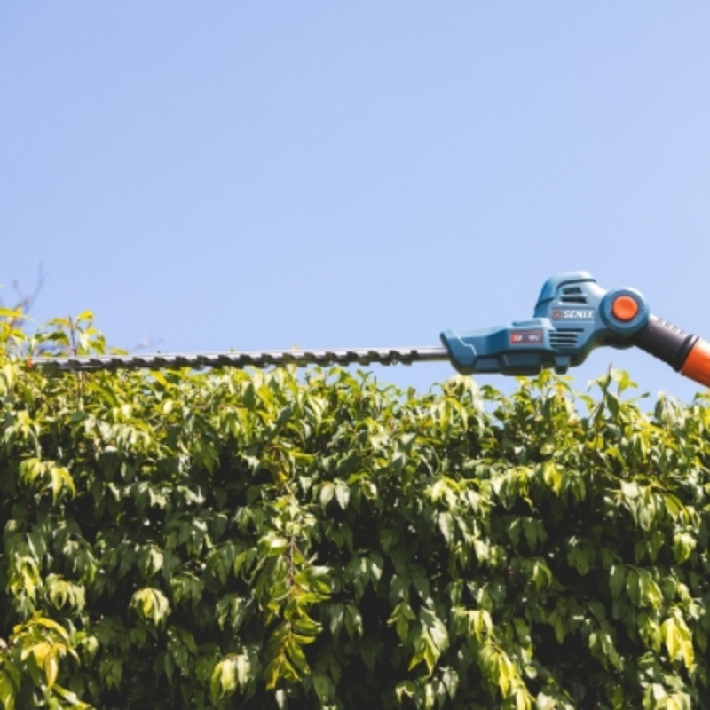 SENIX X2 18V 45cm (18") Pole Hedge Trimmer Kit HTPX2-M-EU