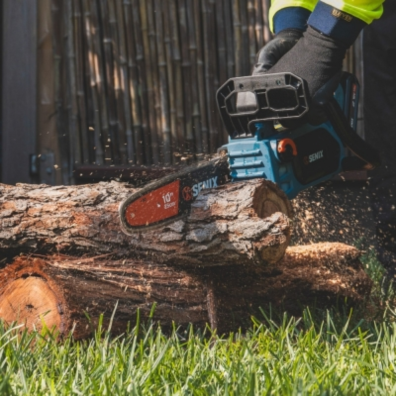 SENIX X2 18V Brushless 25cm Top Handle Chainsaw Kit CSX2-M1-EU